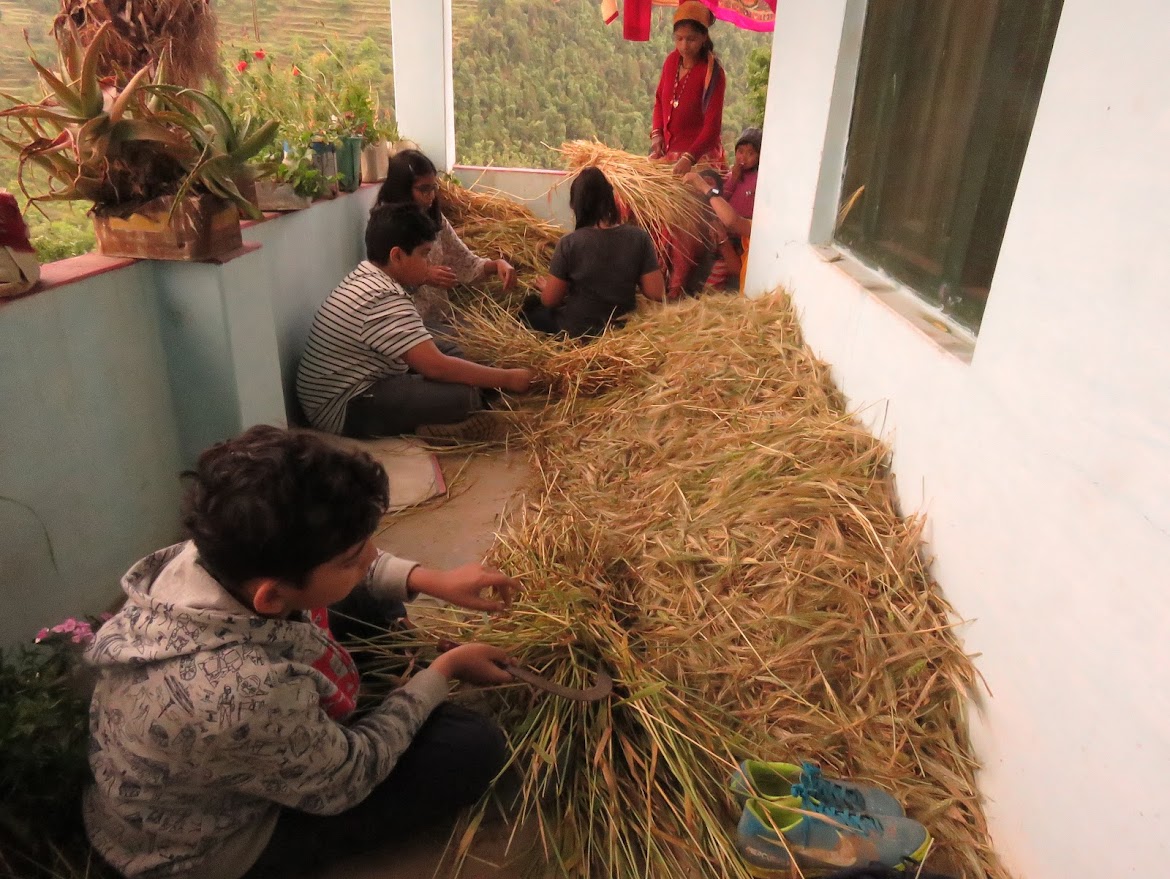 Mukteshwar, Uttarakhand | Summer Camp by Young Soul Tales