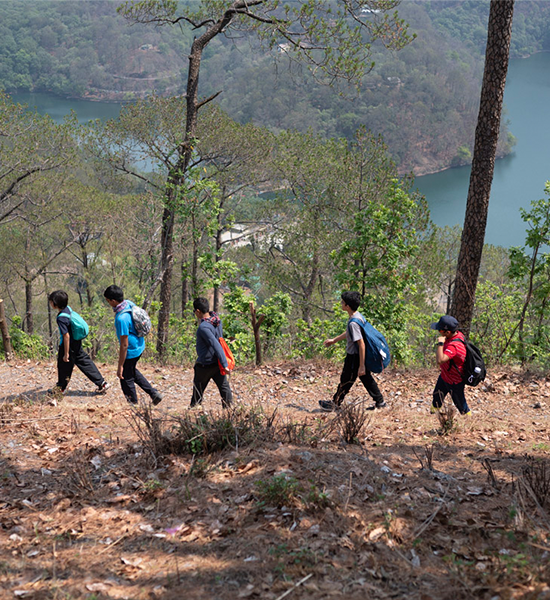 Nature as facilatator (1)